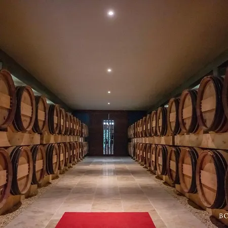 Couette-café Chateau Pont Saint-martin Léognan