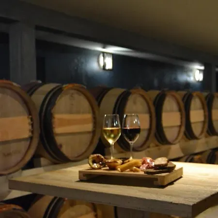 Chateau Pont Saint-martin 4*