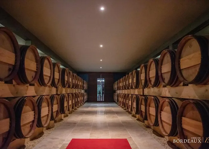 Bed & Breakfast Chateau Pont Saint-martin Léognan