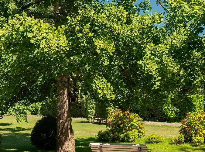 Chateau Pont Saint-martin 4* Léognan