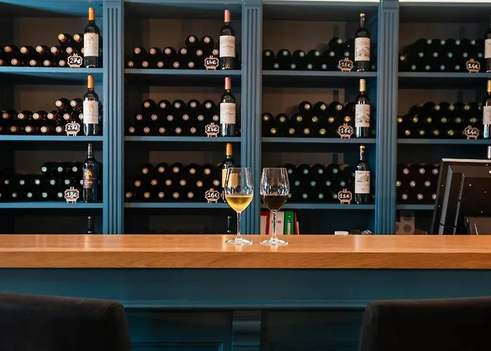 Chateau Pont Saint-martin Bed & Breakfast Léognan