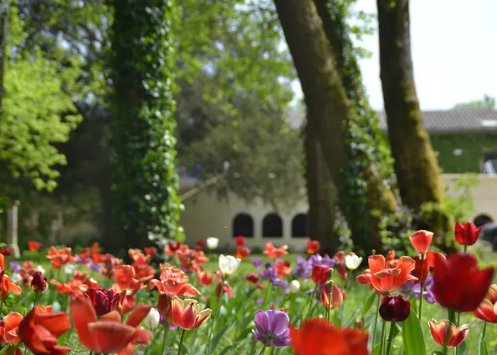 Bed & Breakfast Chateau Pont Saint-martin 4*